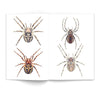 Book Spiders and Scorpions Illustrated Monthly