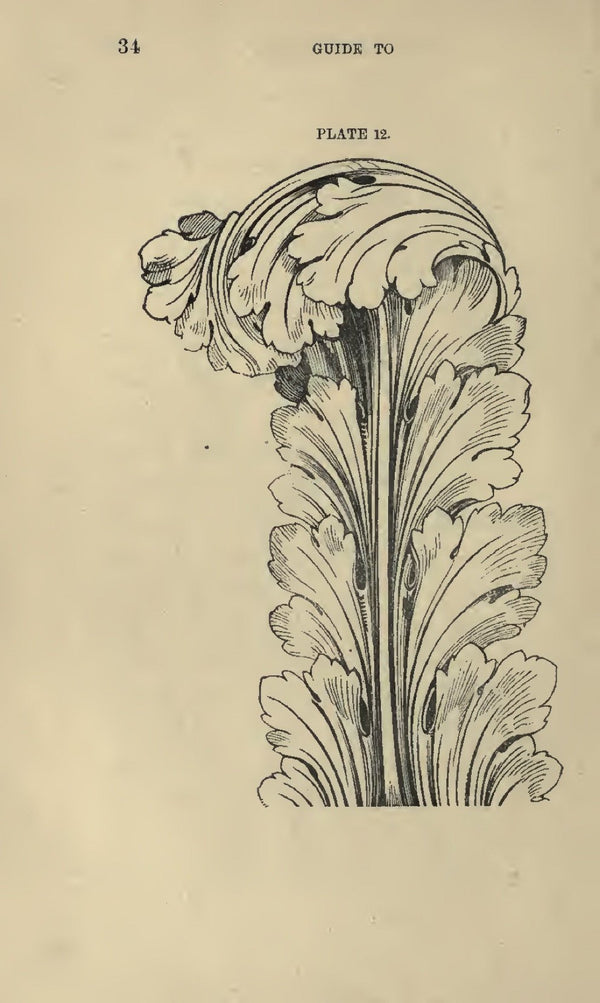 Step by Step: Drawing Ornate Frames and More | eBook | Shop Illustrated ...