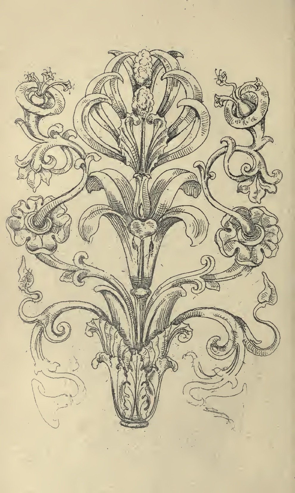 eBook Step by Step: Drawing Ornate Frames and More Illustrated Monthly