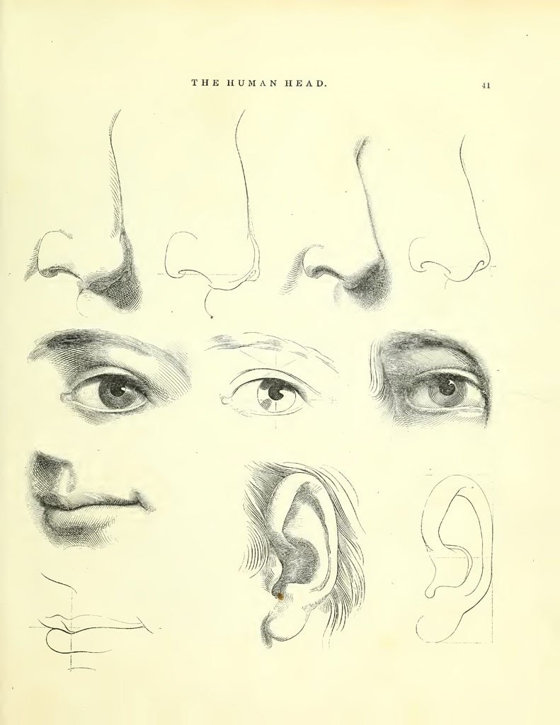 The American Drawing Book