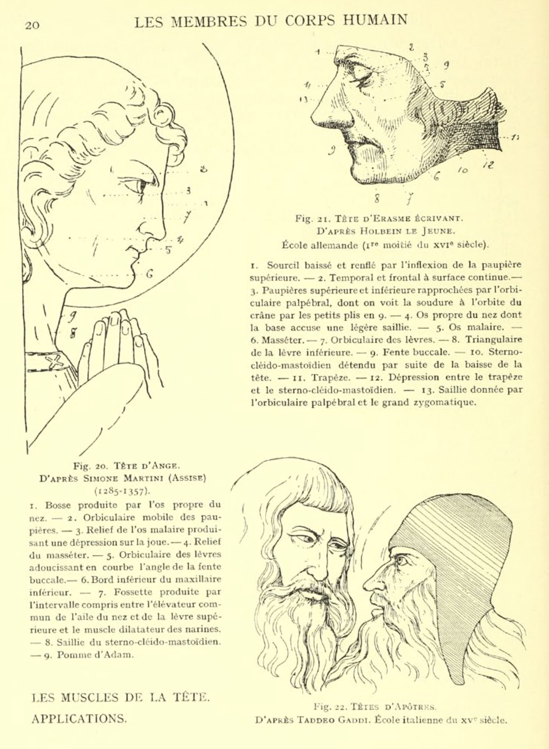 The human figure in art and education