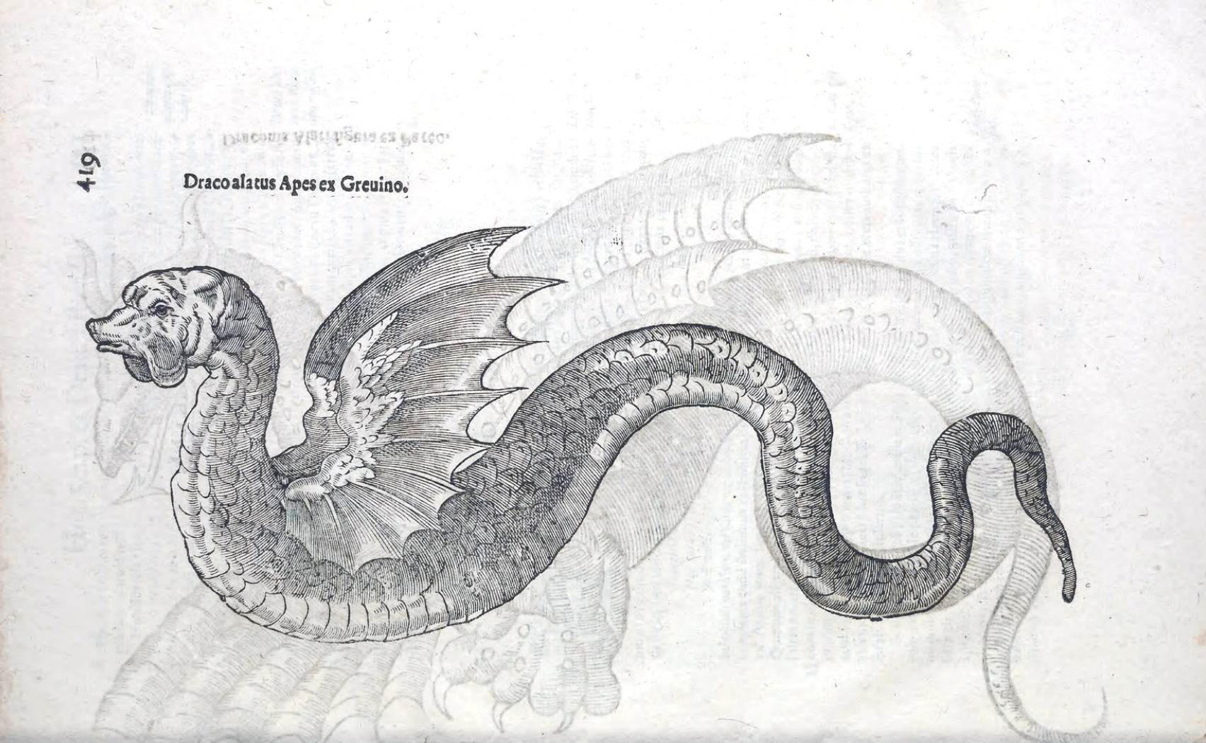 eBook The Outer Portal Illustrated Monthly