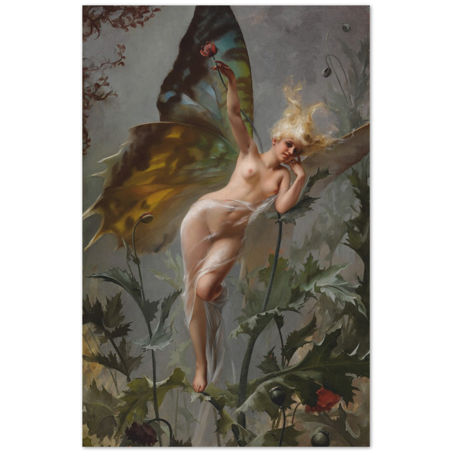 Print Material The Poppy Fairy Gelato