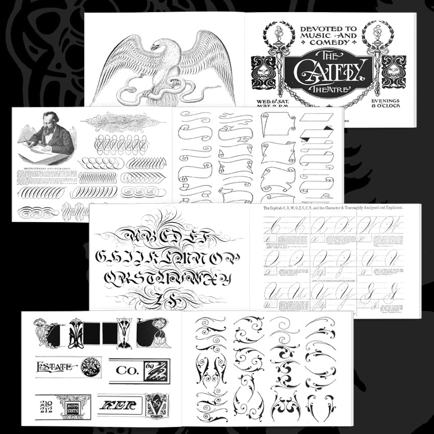 Book The Sign & Lettering Book big fish