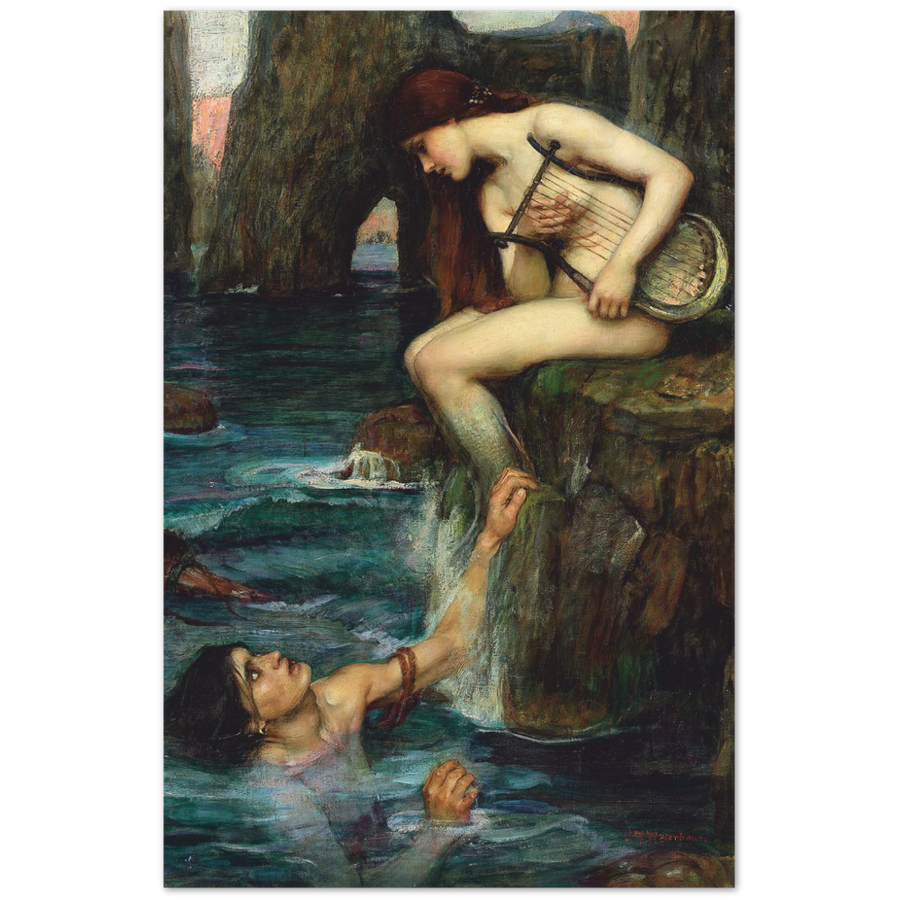 Print Material The Siren Gelato