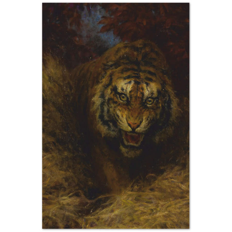 Print Material Tiger In The Grass Gelato