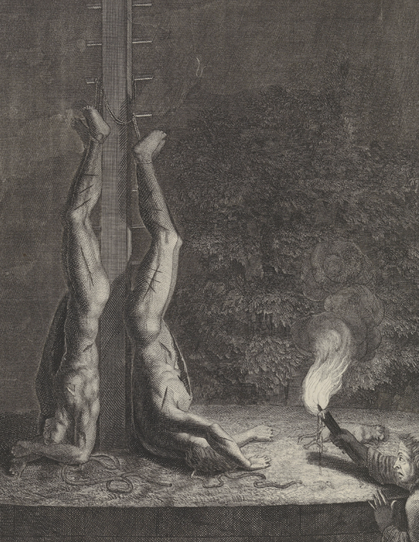 eBook to catch fire big fish