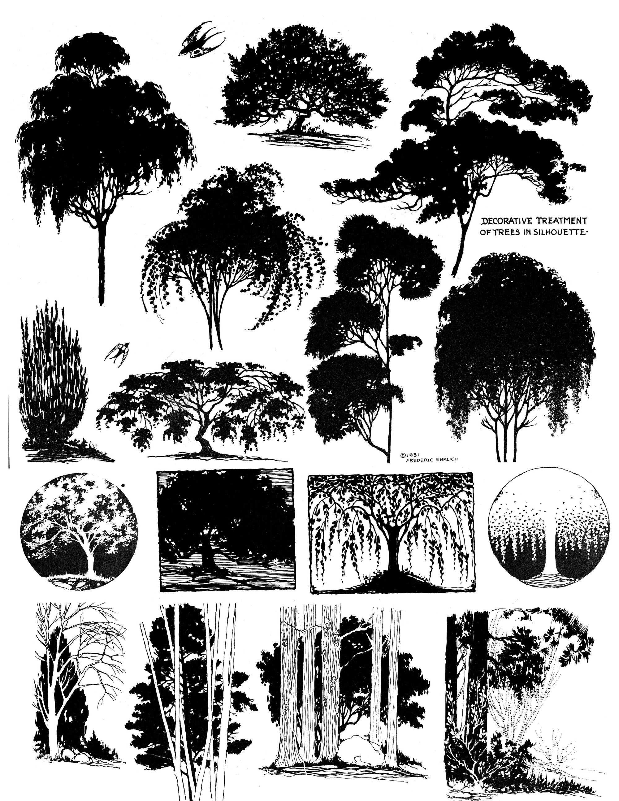 eBook Trees big fish