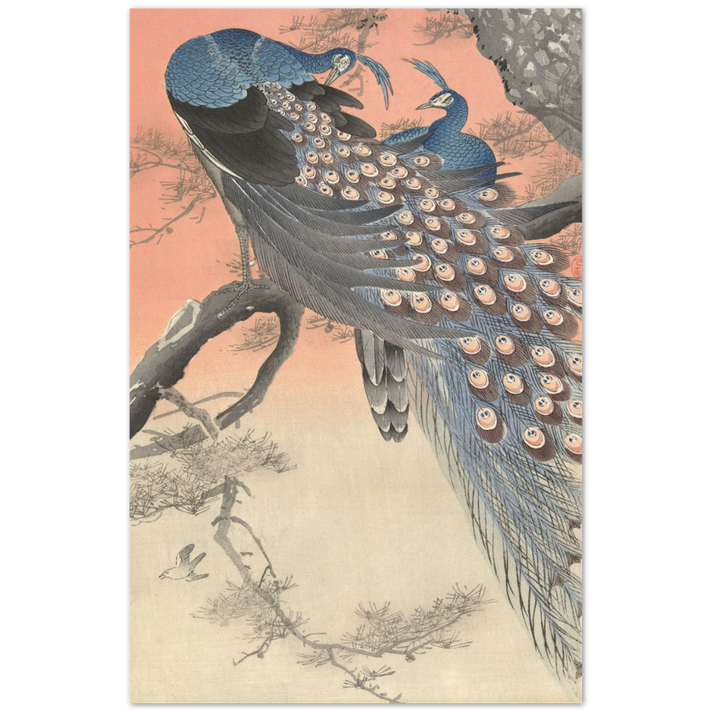 Print Material Two peacocks on tree branch Gelato