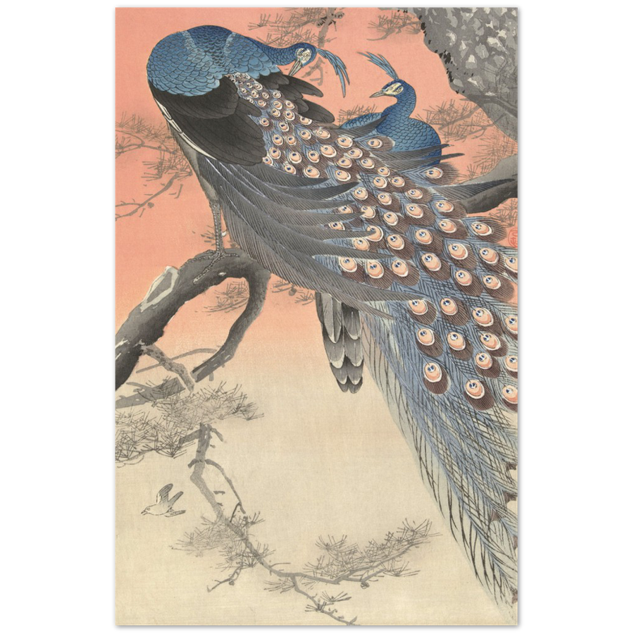 Print Material Two peacocks on tree branch Gelato