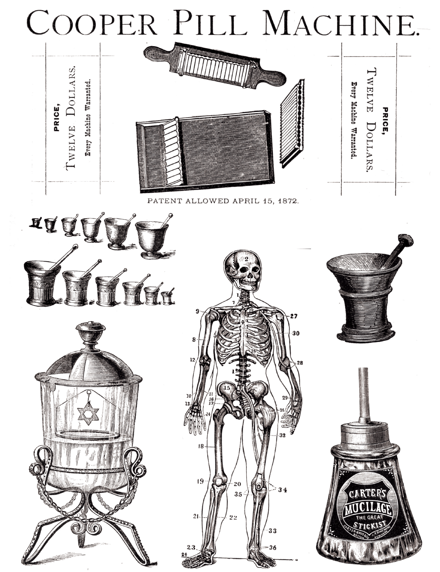 eBook Weed & Co big fish