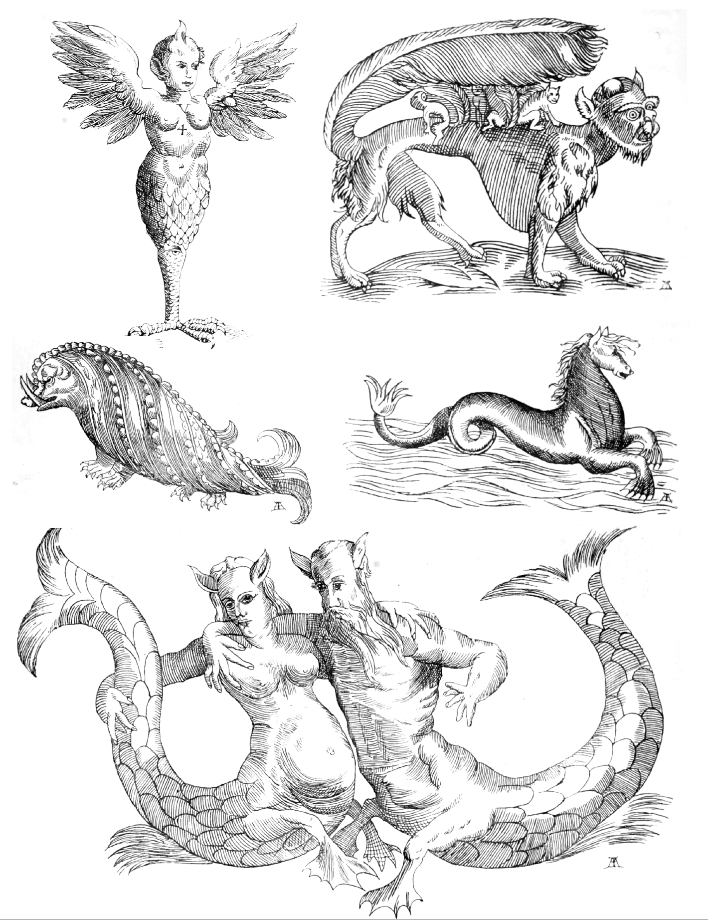weird monsters artwork Weird Creatures