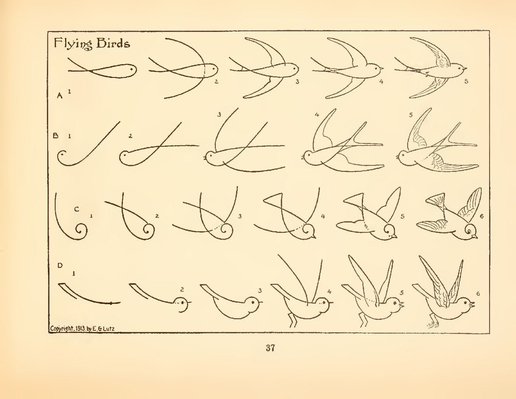 What to Draw & How to Draw It