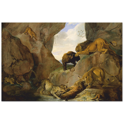 Print Material Wild Animals in a Mountain Gorge Gelato