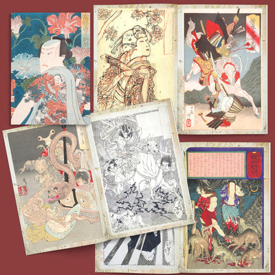 Book Yoshitoshi Illustrated Monthly